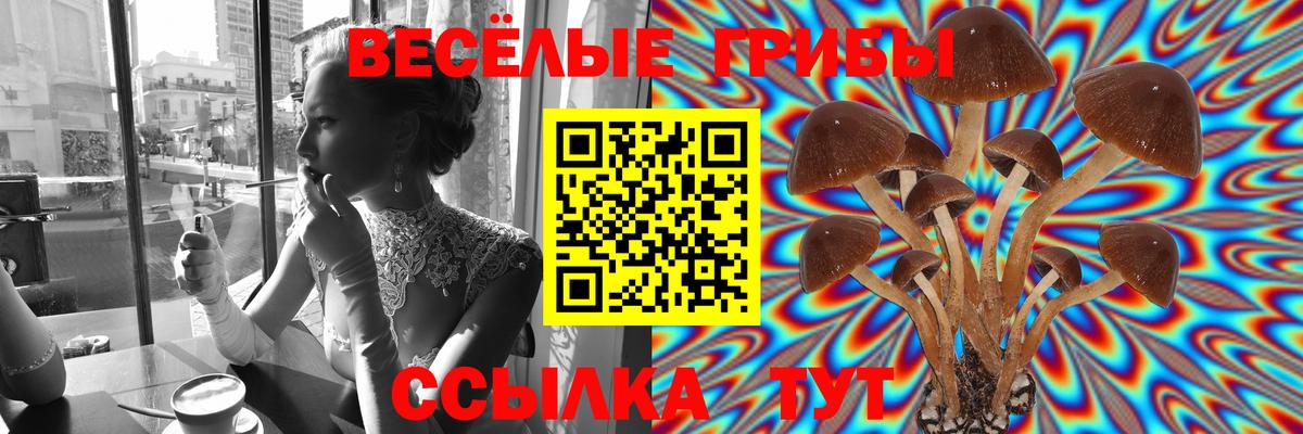 Псилоцибиновые грибы мицелий Домодедово